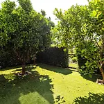 Paradis * 알부페이라